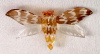 BP13 tinted lucite moth pin